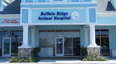 veterinarians in the villages florida|Veterinarians in The Villages .